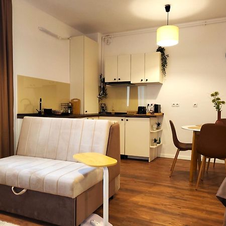 Garden City Studio Sibiu Exteriér fotografie